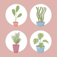 icon set pot plants vector