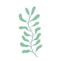 branch leaves plant vector