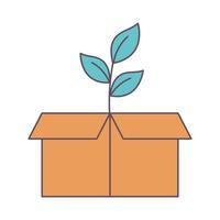 planta en caja de carton vector