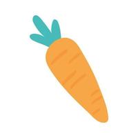 carrot vegetable fresh vector