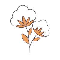 cotton branch natural vector