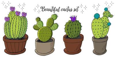 Cute vector illustration. Cacti, aloe, succulents. Decorative natural elements