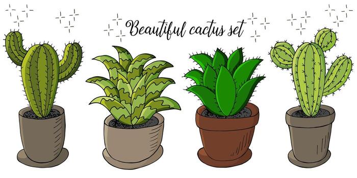 linda ilustración vectorial. cactus, aloe, suculentas. elementos naturales decorativos vector