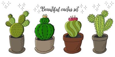 Cute vector illustration. Cacti, aloe, succulents. Decorative natural elements