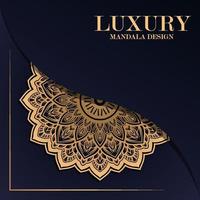 luxury circular pattern mandala background vector