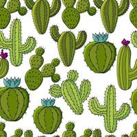 Cute vector illustration. Cacti, aloe, succulents. Decorative natural elements