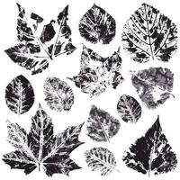 Set of vector drawings with acrylic paints. Collection of autumn leaves