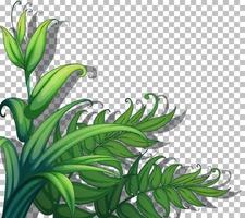 Nature plants frame grid background vector