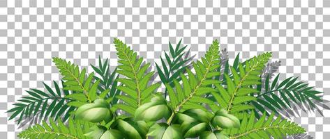 Grass and plants on grid background for decor vector