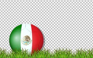 Maxico bandera de fútbol y césped en el fondo de la cuadrícula vector