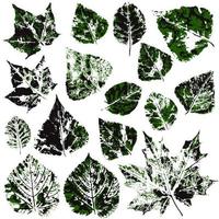 Set of vector drawings with acrylic paints. Collection of autumn leaves