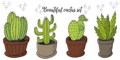 Cute vector illustration. Cacti, aloe, succulents. Decorative natural elements