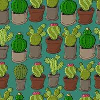 Cute vector illustration. Cacti, aloe, succulents. Decorative natural elements