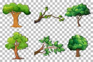 Set of variety trees on grid background vector