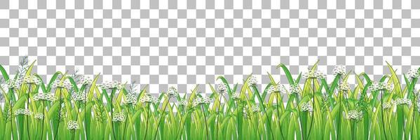 Grass and plants on grid background for decor vector