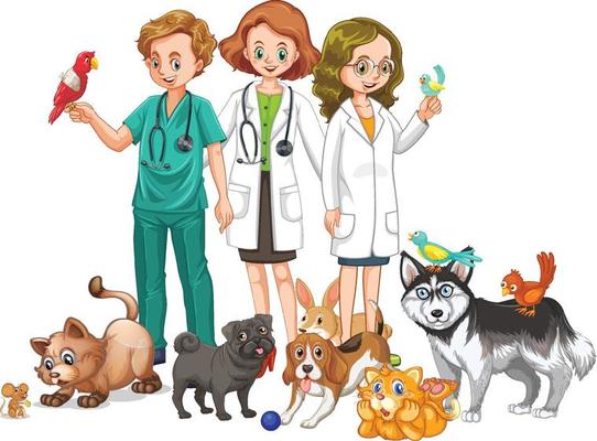 Veterinarian with many kind of animals