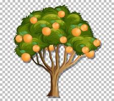 Orange tree on grid background vector