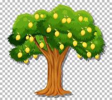 Lemon tree on grid background vector