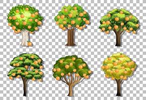 Set of variety orange trees on grid background vector