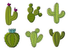 Cute vector illustration. Cacti, aloe, succulents. Decorative natural elements