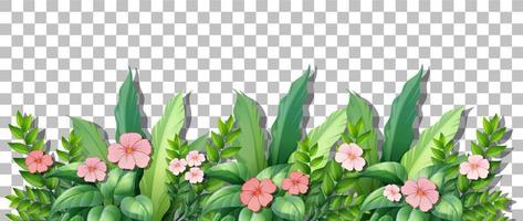 Flower bush with leaves on grid background