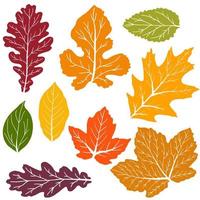 Set of vector drawings with acrylic paints. Collection of autumn leaves