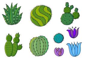 Cute vector illustration. Cacti, aloe, succulents. Decorative natural elements