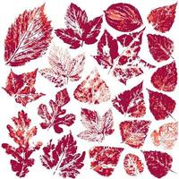 Set of vector drawings with acrylic paints. Collection of autumn leaves