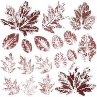 Set of vector drawings with acrylic paints. Collection of autumn leaves