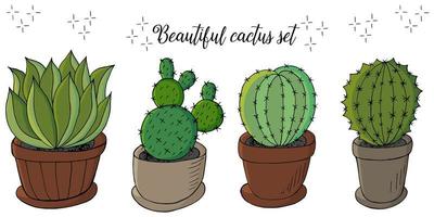 Cute vector illustration. Cacti, aloe, succulents. Decorative natural elements