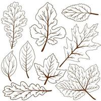 Set of vector drawings with acrylic paints. Collection of autumn leaves