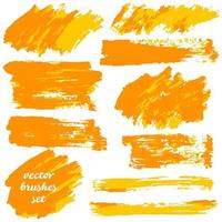 Collection of paint, ink brush strokes, brushes, blots vector