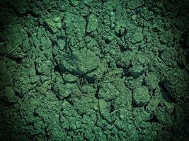 textura de suelo de agua verde
