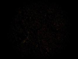 textura de tierra oscura en el jardín foto