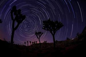 Light Painted Landscape of Stars photo