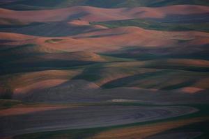 palouse washington de steptoe butte foto