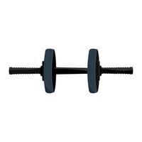 Dumbbells isolated on a white background. Dumbbell vector icon.