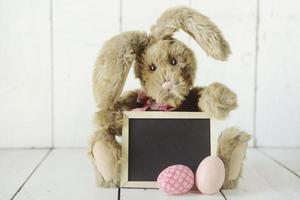 Easter Bunny Themed Holiday Occasion Image photo