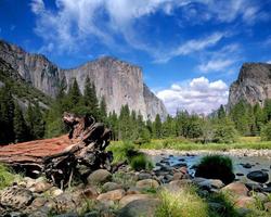 El Capitan View in Yosemite Nation Park photo