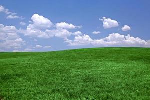 Green grass and blue sky background with copy space photo