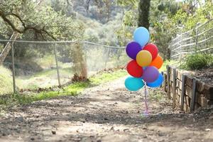 Balloons Outdoors at a Celebration with Copy Space photo