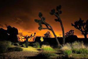 luz de persona pintada en el desierto bajo el cielo nocturno foto