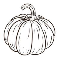 Line Art Ripe Pumpkin Illustration. Autumn Food Icon. Fresh squash sketch. Element for autumn decorative design, halloween invitation, harvest, sticker, print, logo, menu, recipe vector