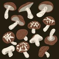 Doodle freehand sketch drawing of shiitake mushroom vegetable. vector