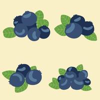 Doodle freehand sketch drawing of blueberry fruit collection. vector