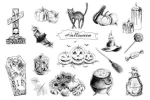 un conjunto de elementos dibujados a mano para halloween. poción mágica, lápida sepulcral, ataúd, velas, calabazas, caramelos, piruletas, gato negro, escoba, murciélago, girasoles, hojas. ilustración vectorial de la vendimia. vector