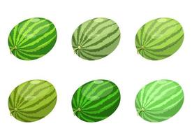 Watermelon fruit vector design illustration isolated on white background