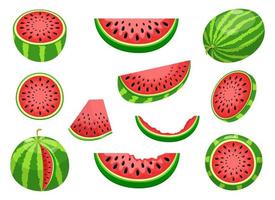 Watermelon fruit vector design illustration isolated on white background