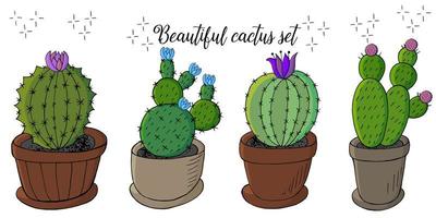 Cute vector illustration. Cacti, aloe, succulents. Decorative natural elements