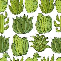 Cute vector illustration. Cacti, aloe, succulents. Decorative natural elements